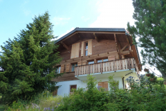Chalet Bergwasser
