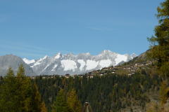 Rosswald